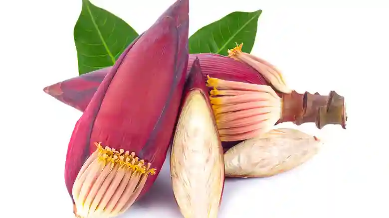 Banana Flower